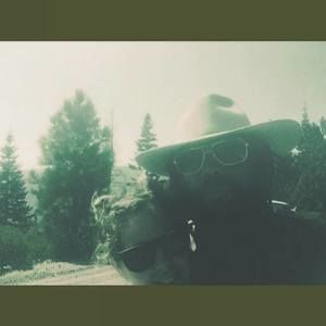 Meet your Posher, Kat